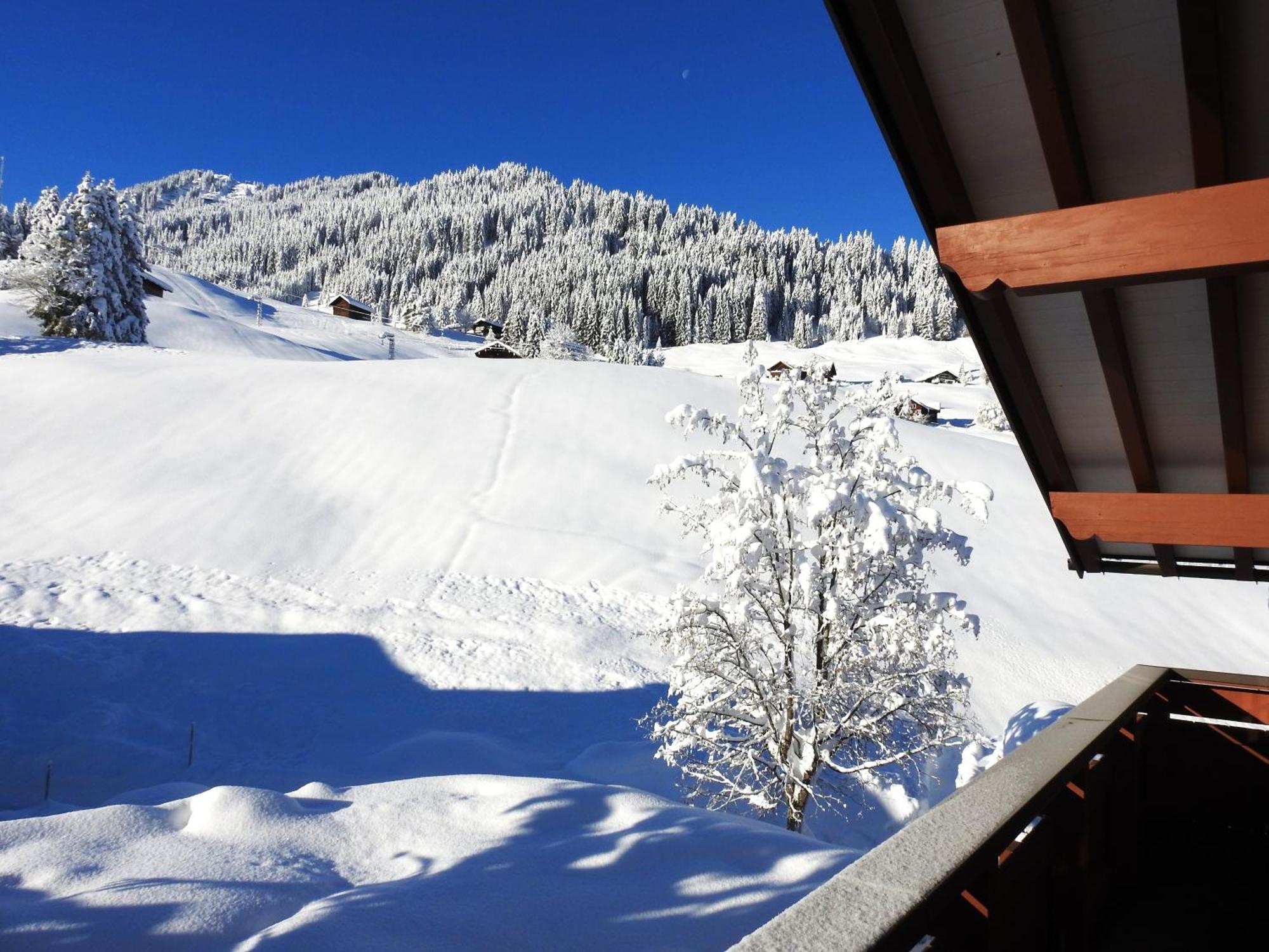 Haus Berg & Tal Lägenhet Hirschegg  Exteriör bild